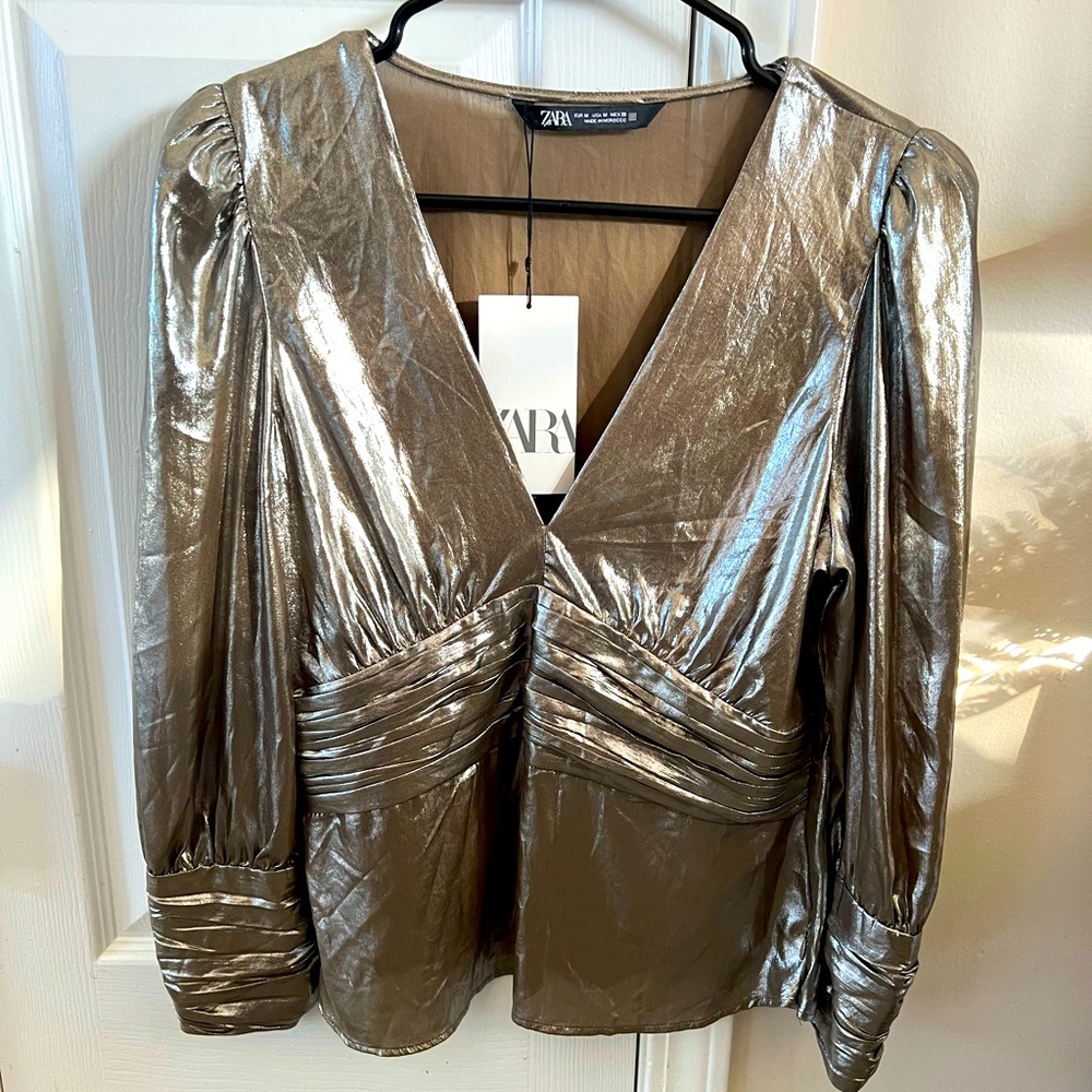 ZARA Chrome Blouse